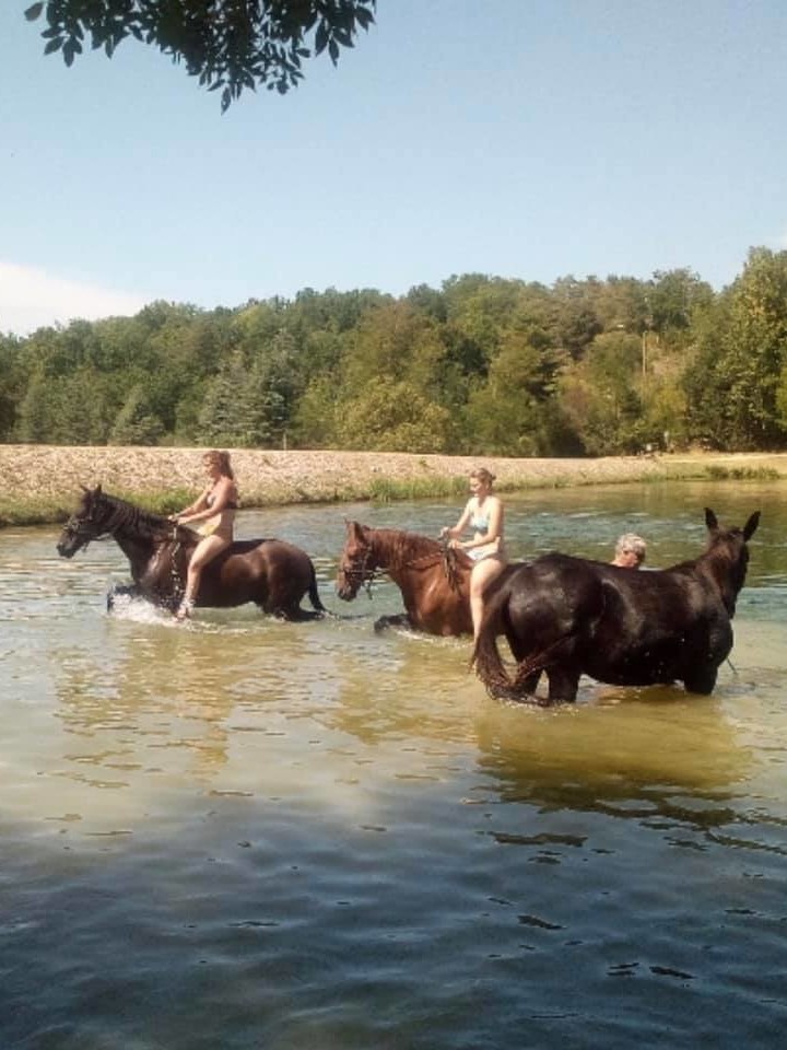 cavalier dans lac
